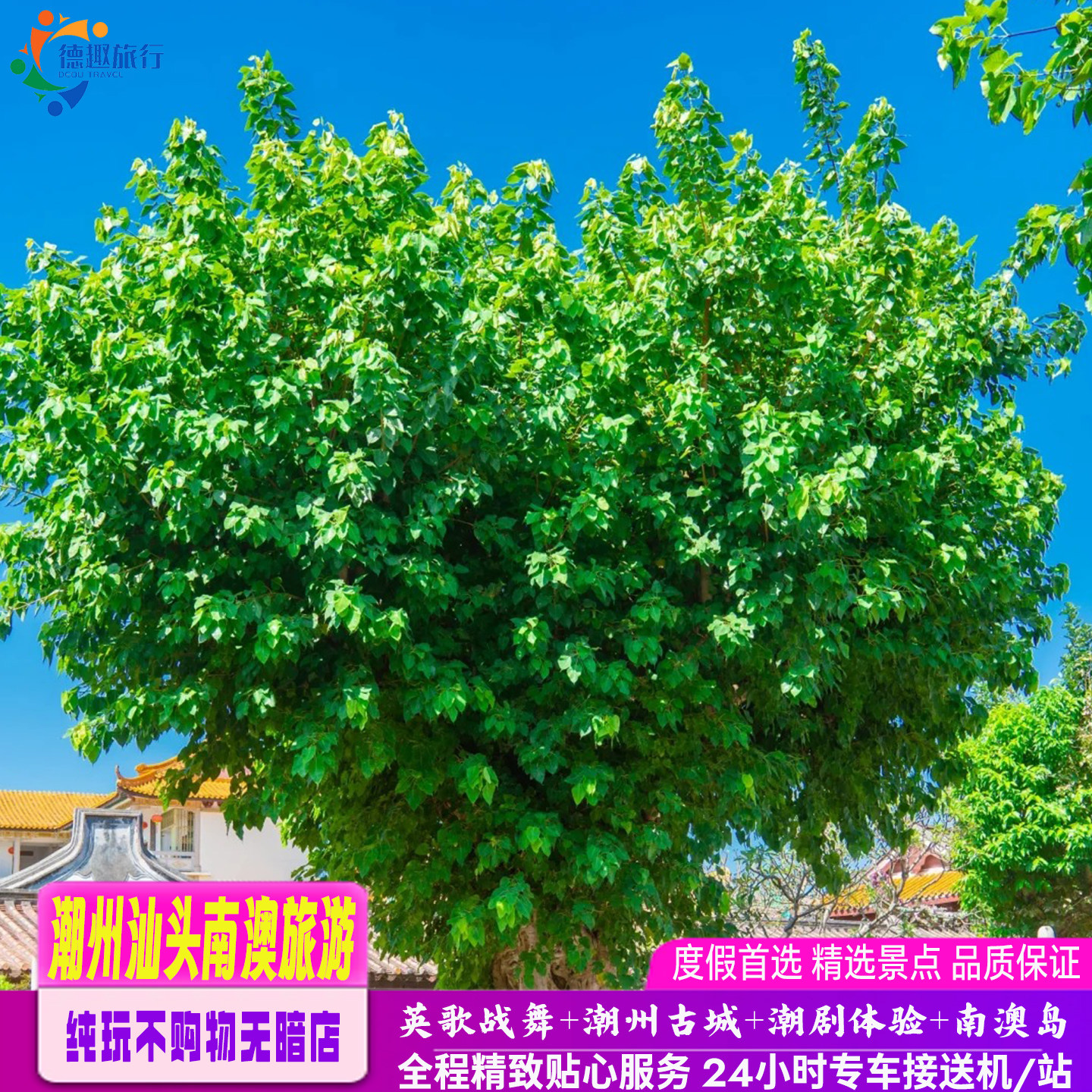 私家小团4人起订纯玩不购物广东潮汕旅游5天4晚汕头南澳潮州旅拍 - 定制游预订