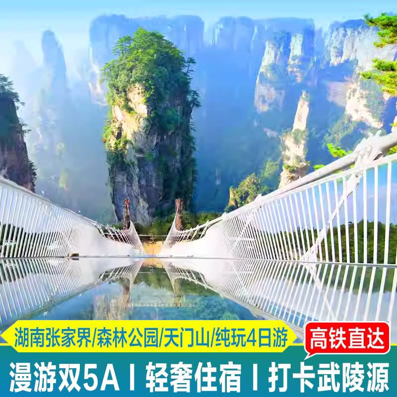 深圳等多地出发湖南张家界旅游4天3晚跟团大峡谷森林公园天门山 - 定制游预订