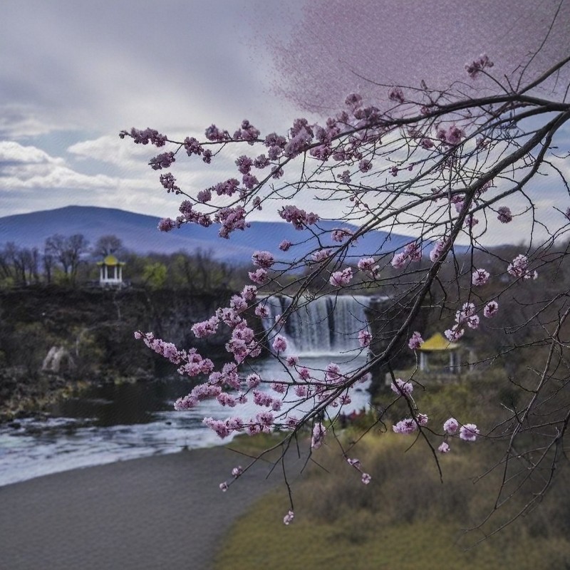 【乐享】牡丹江东方明珠大酒店2天1晚自由行+镜泊湖