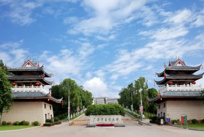 广西中医药大学(仙葫校区)图片