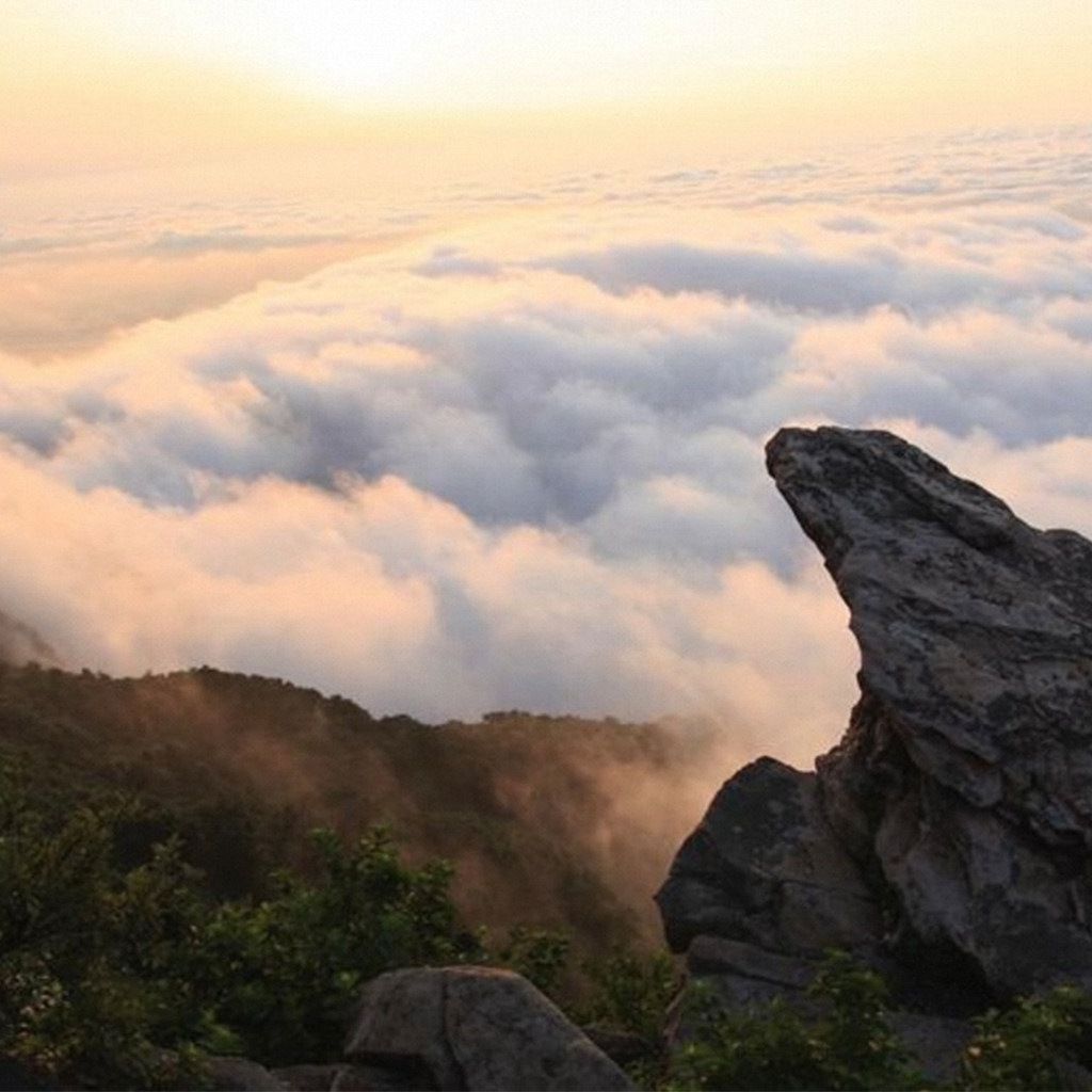 【悟空来也】2晚江苏连云港花果山花间岭·悟云空+花果山门票1送1