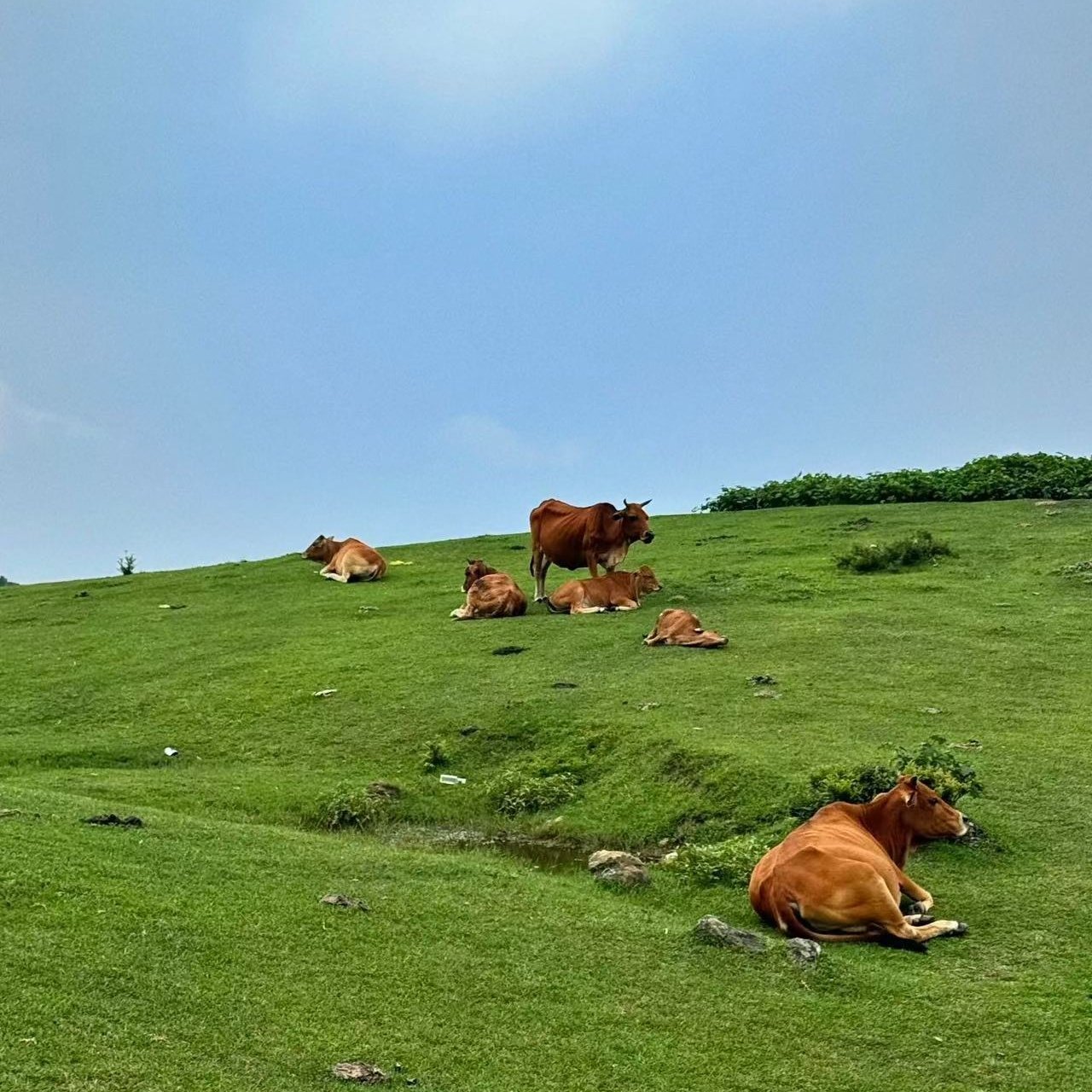 福州榕棠酒店(三坊七巷南门兜地铁站店)住宿+闽江夜游电动成人船票