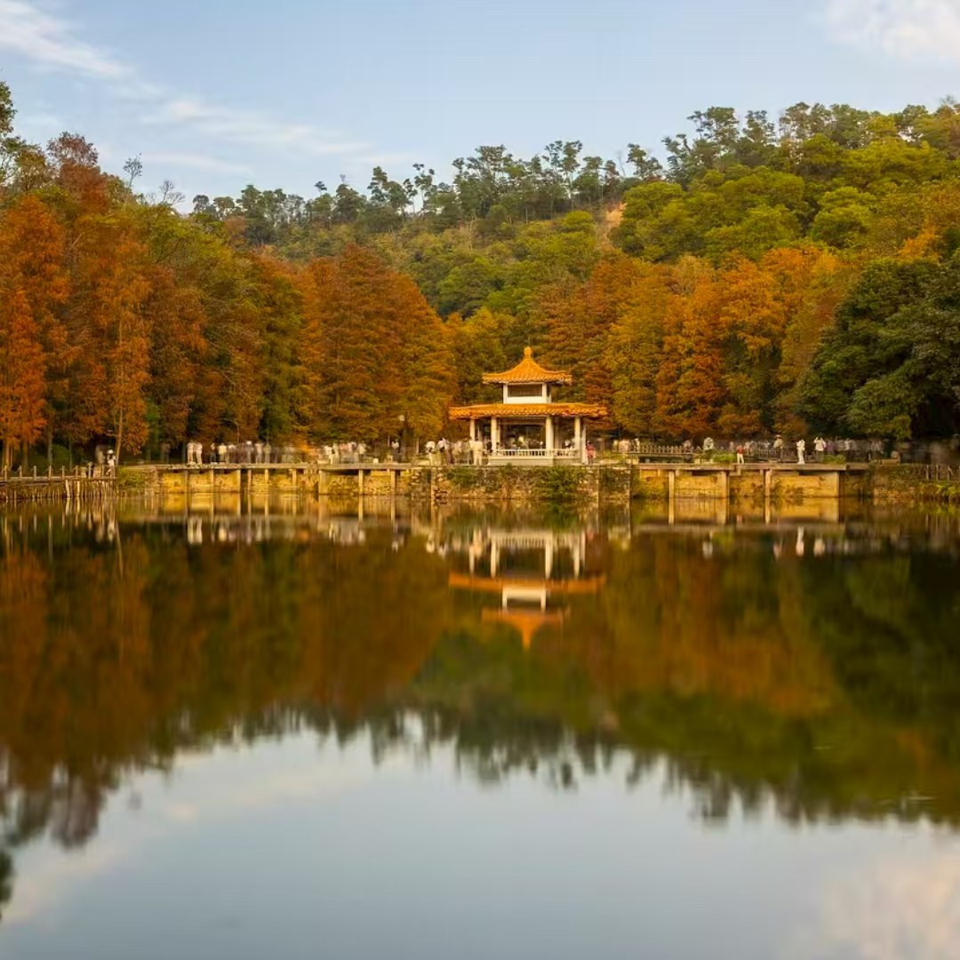 【畅享】深圳宝安中心颐朵朵酒店颐朵至尊大床房2天1晚+观光巴士+植物园