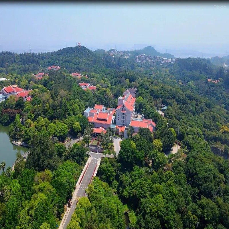 【YT】2天1晚 | 泉州迎宾馆丨豪华房+非遗木偶戏演出 - 定制游预订