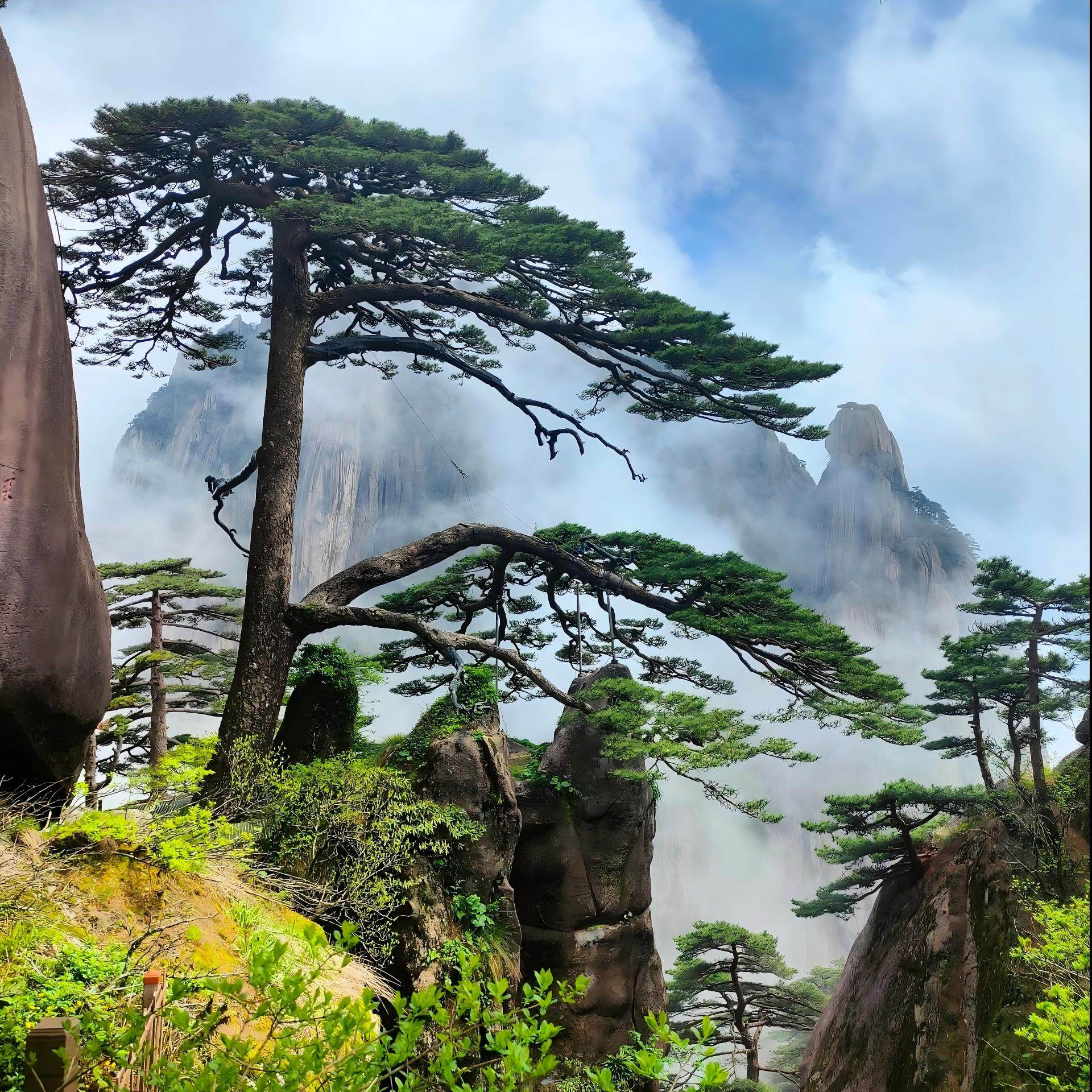 黄山市区品牌酒店住宿+黄山风景区成人门票 - 定制游预订