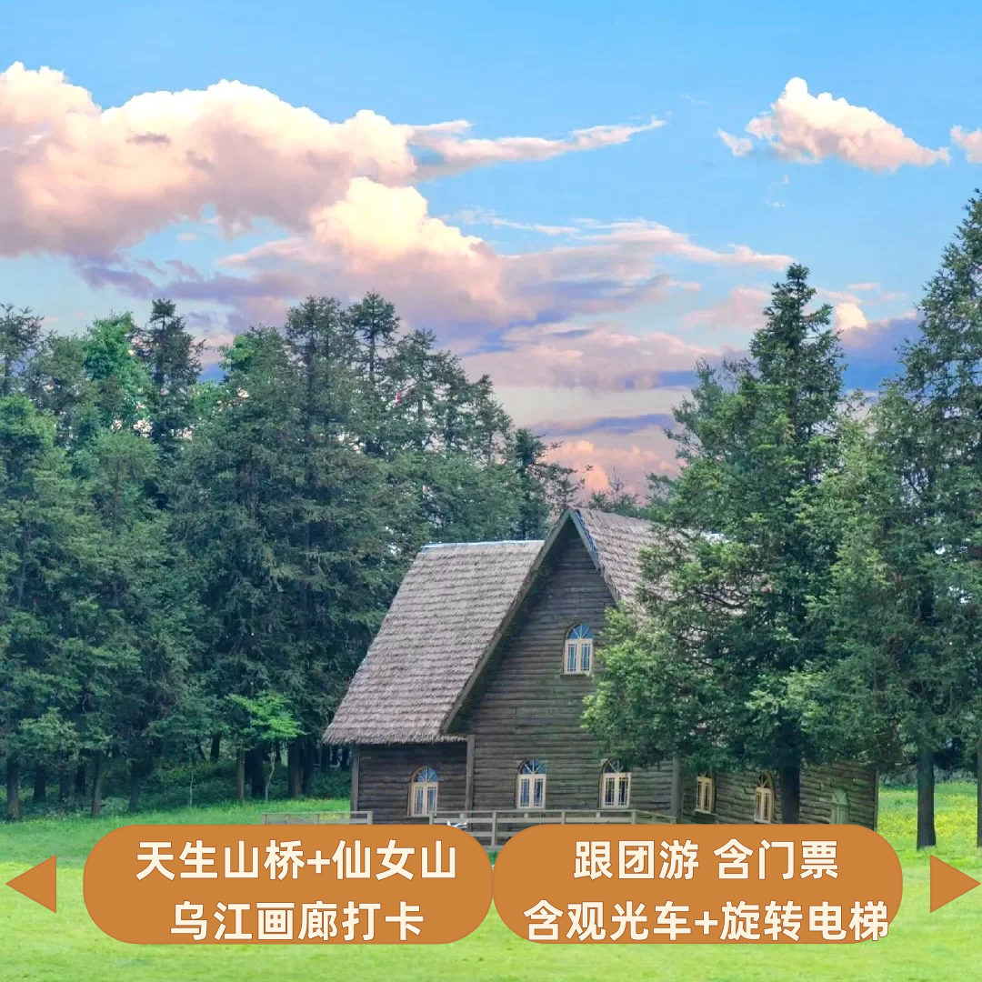 武隆仙女山+天生三桥+乌江画廊1日游【8人内小团&含门票&含电梯】 - 定制游预订