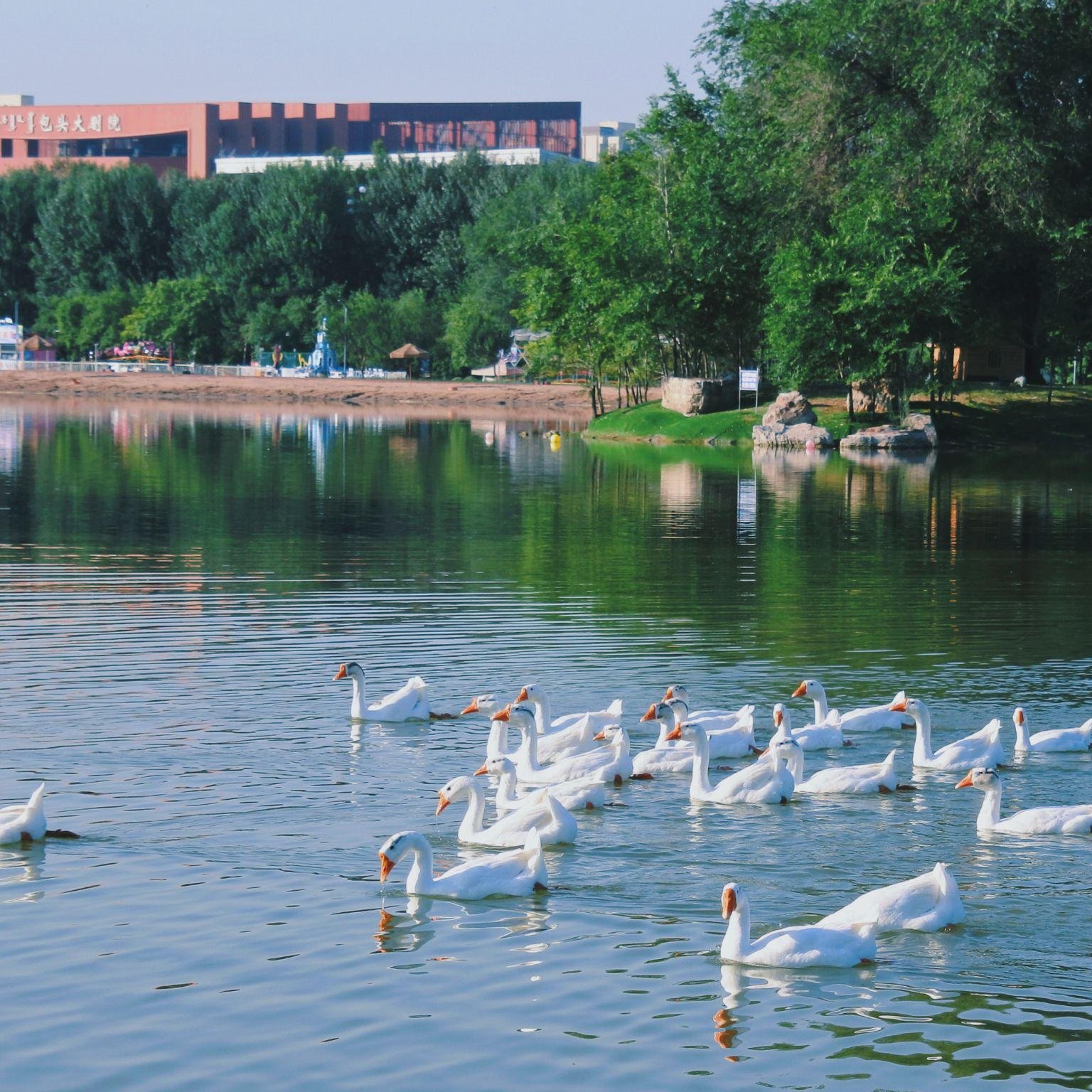 包头青山宾馆迎宾楼住宿+五当召成人门票
