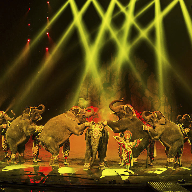 【错峰出游】广州长隆熊猫酒店 香江酒店3天2晚含动物世界 马戏套餐