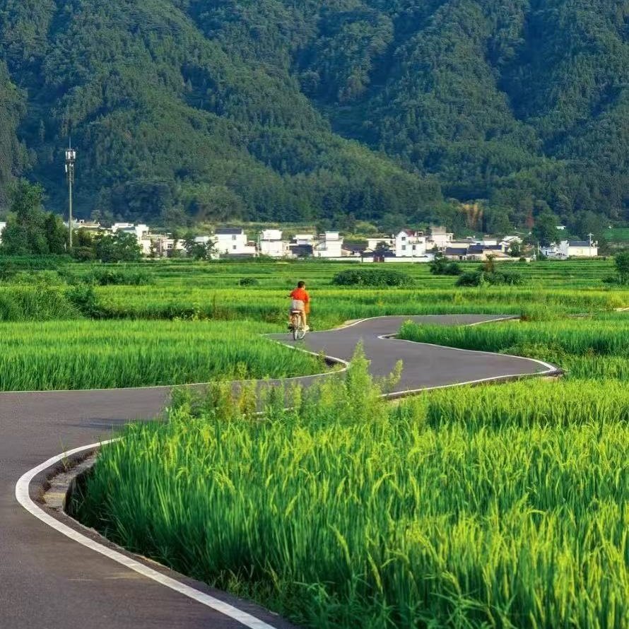 九华山温泉假日酒店住宿+九华山成人门票