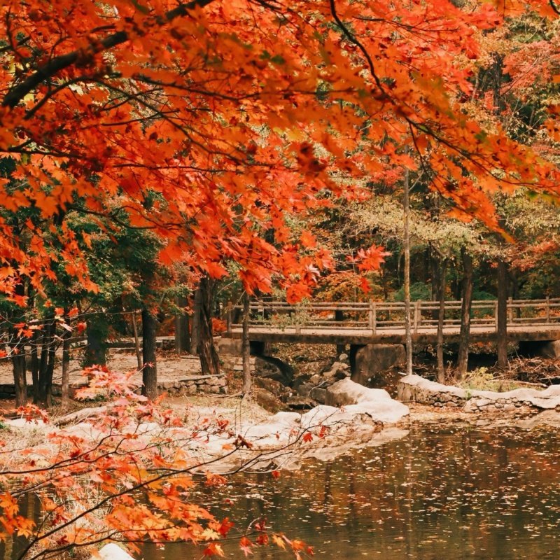 【2人】吉林长春东北虎园+伪满皇宫博物馆+通化高句丽文物旅游区+轻奢酒店自由行