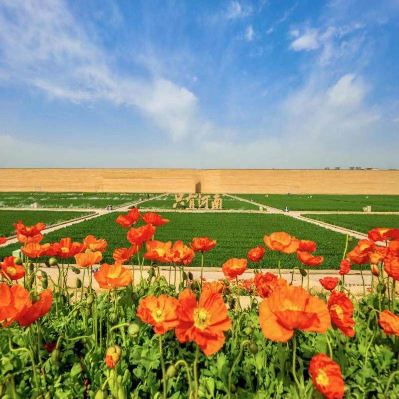 【酒店配套】只有河南戏剧幻城多次入园只有剧场酒店住宿1晚含早餐含摆渡车