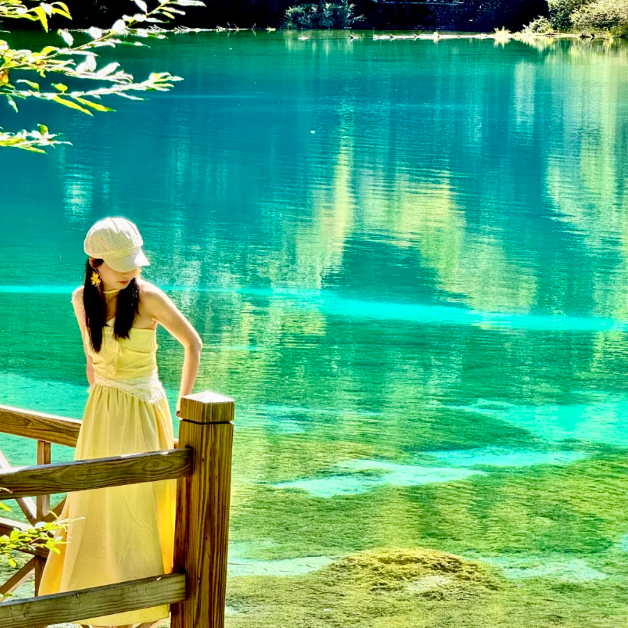 四川成都旅游9天8晚纯玩无购物九寨沟黄龙大熊猫繁育基地半自由行 - 定制游预订