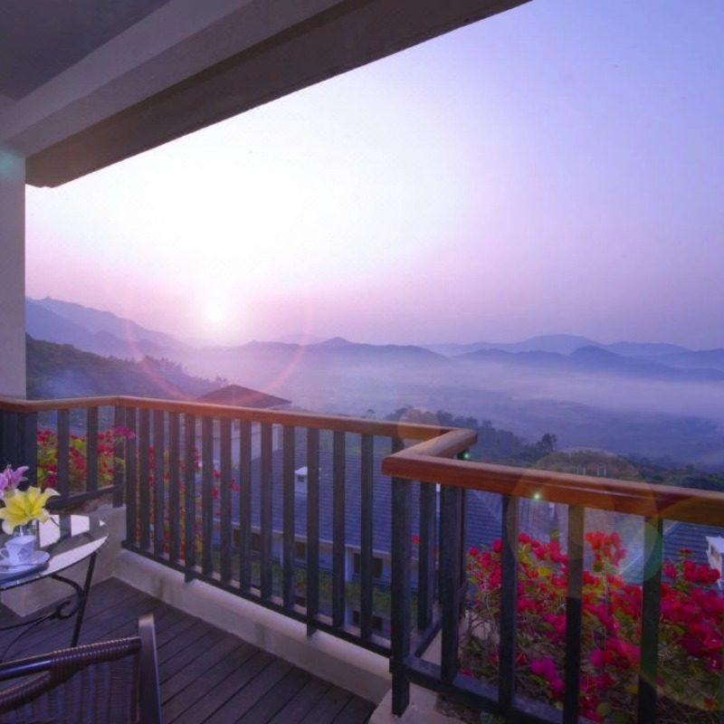 【元旦特惠】广州碧桂园金叶子温泉度假酒店+双早+温泉+汗蒸+石板浴+田园水果/晚餐等