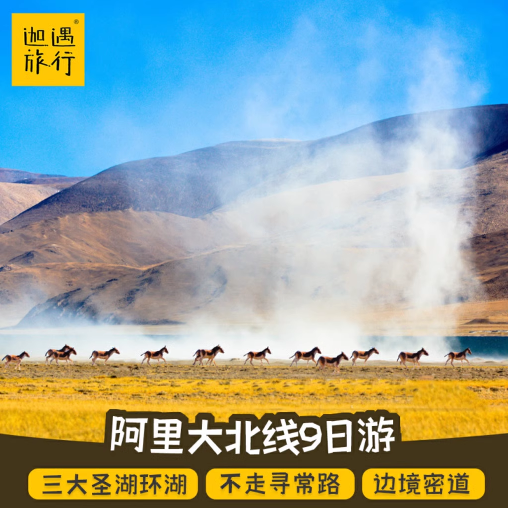 【越野深度游】西藏阿里南线大北线圣象天门冈仁波齐旅游九日游 - 定制游预订