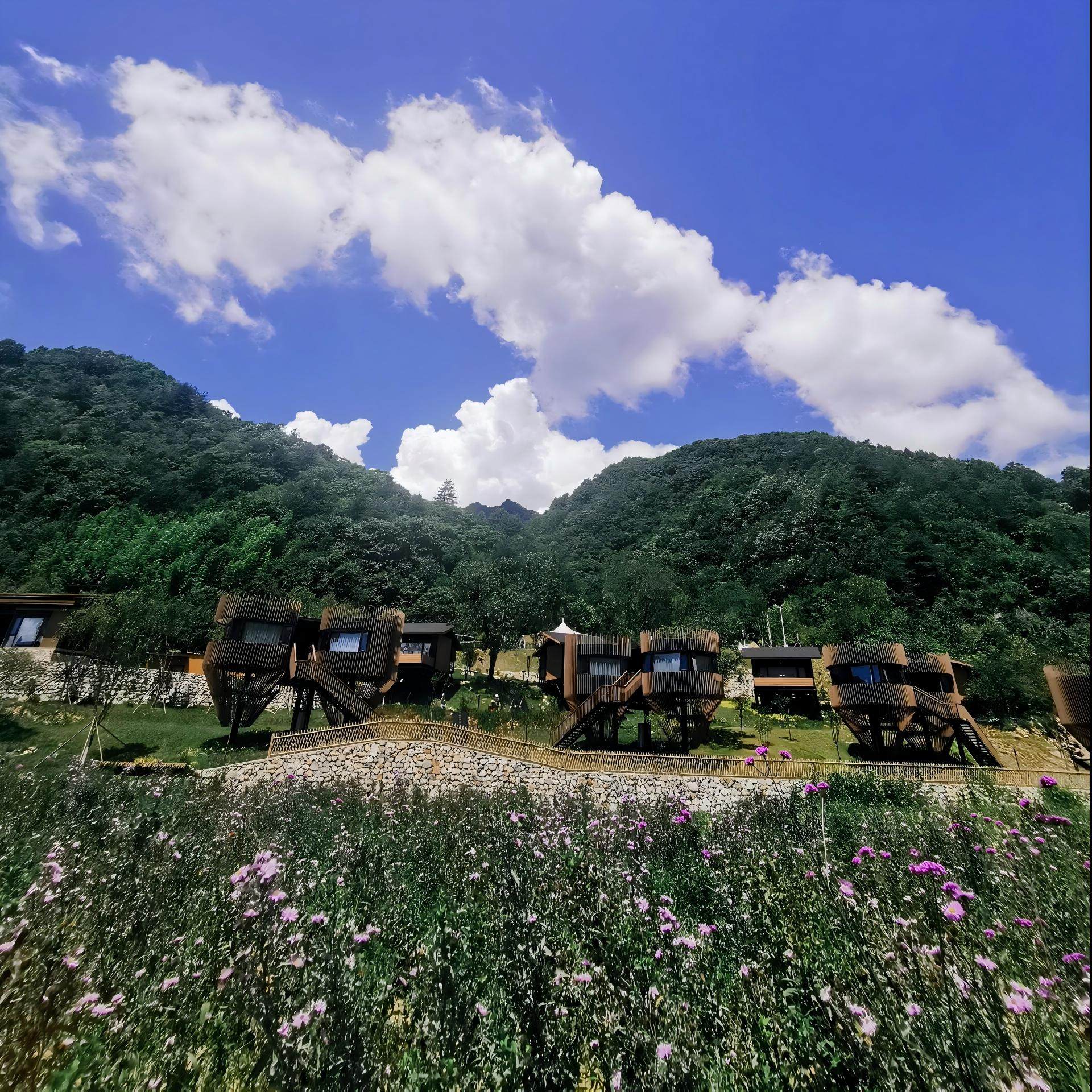 延安品牌高档酒店住宿+黄帝陵成人票 - 定制游预订