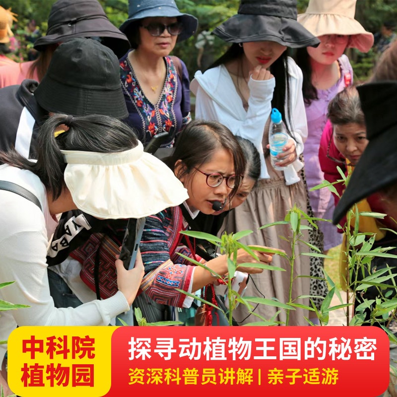 西双版纳中科院热带植物园一日游 资深金牌导游讲解 可选日夜游 - 定制游预订