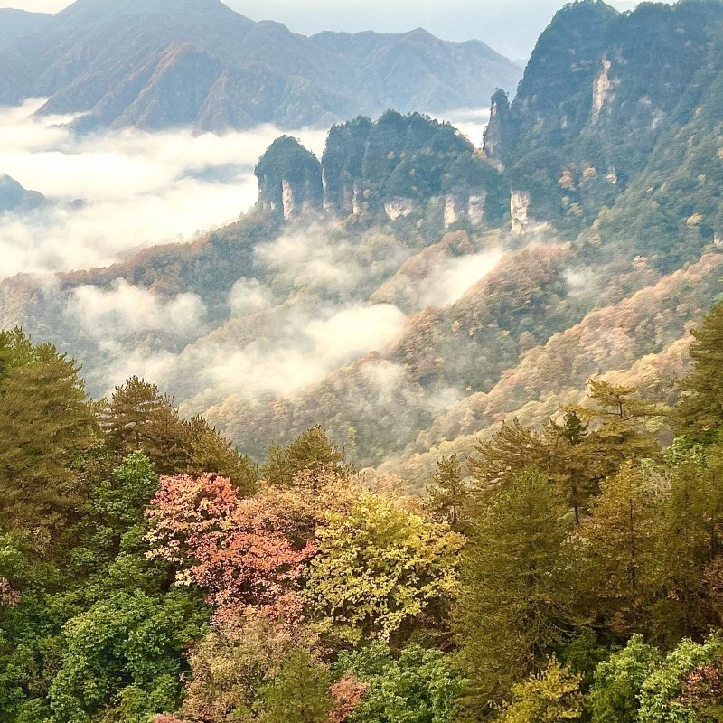 南江首座大酒店1晚+光雾山旅游景区门票+燕子岭索道票