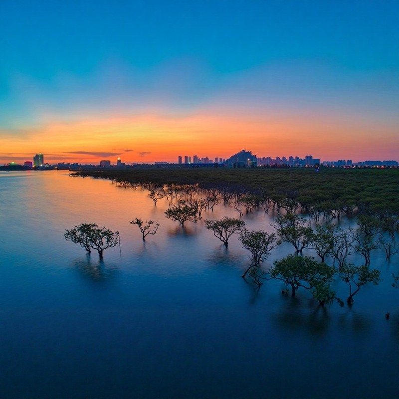 【乐享】北海三天两晚+北海银滩+侨港风情街+北海老街+金海湾红树林生态旅游区 - 定制游预订