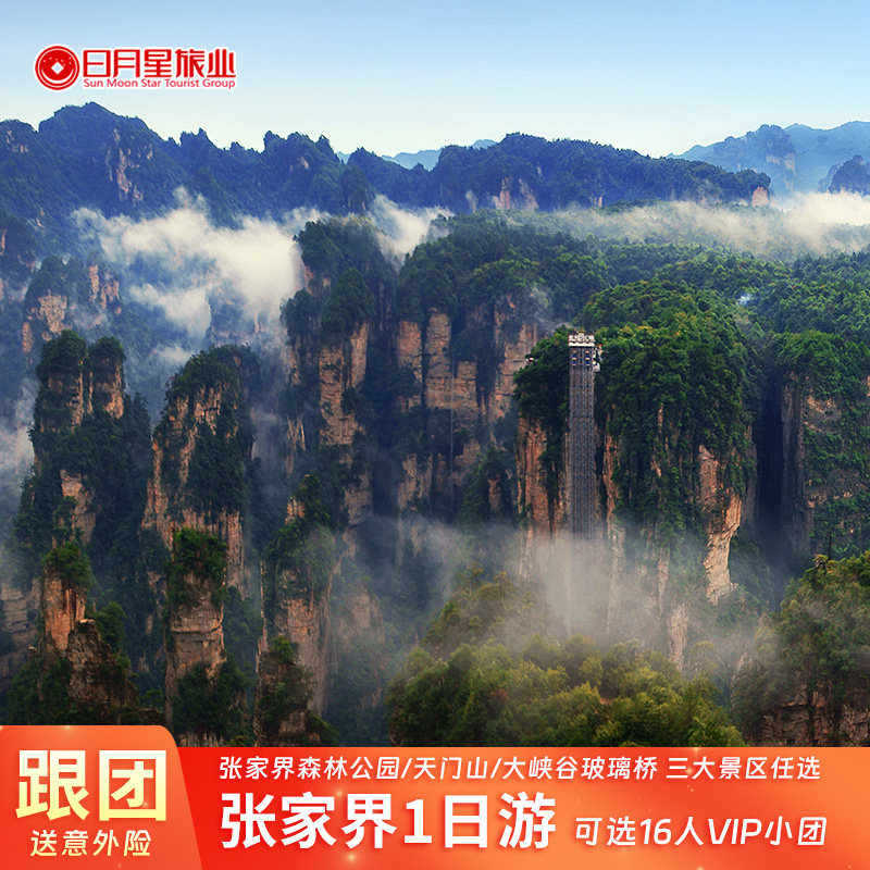 16人小团张家界一日游武陵源森林公园天门山大峡谷玻璃桥可单订票 - 定制游预订
