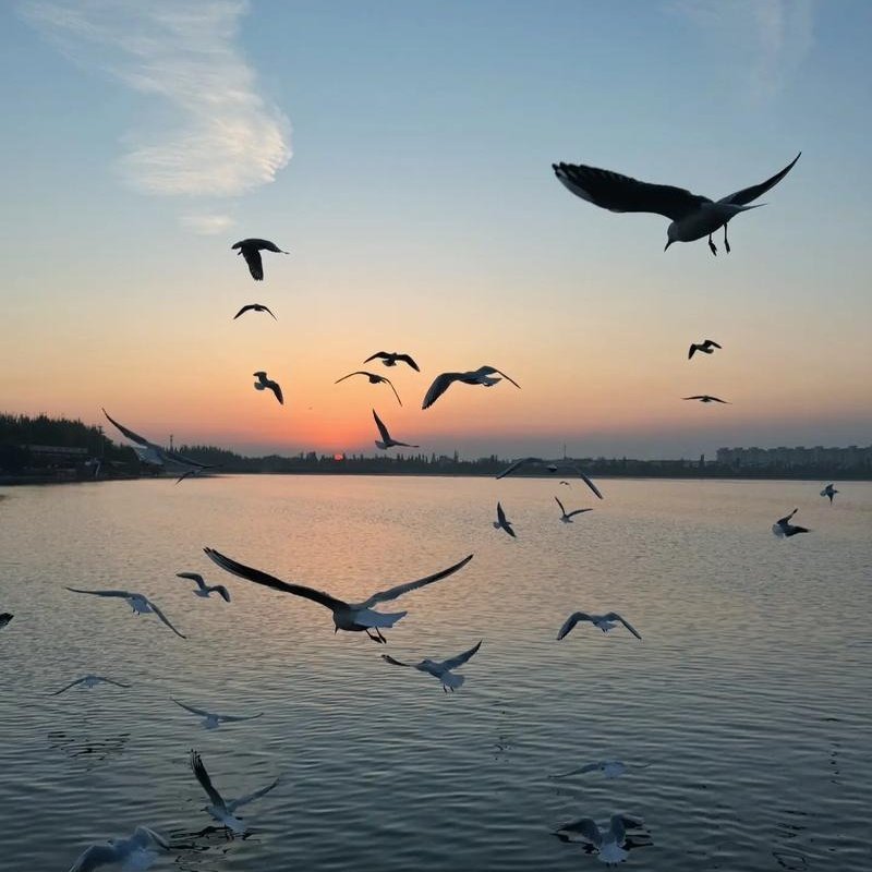 包头青山宾馆迎宾楼住宿+五当召成人门票