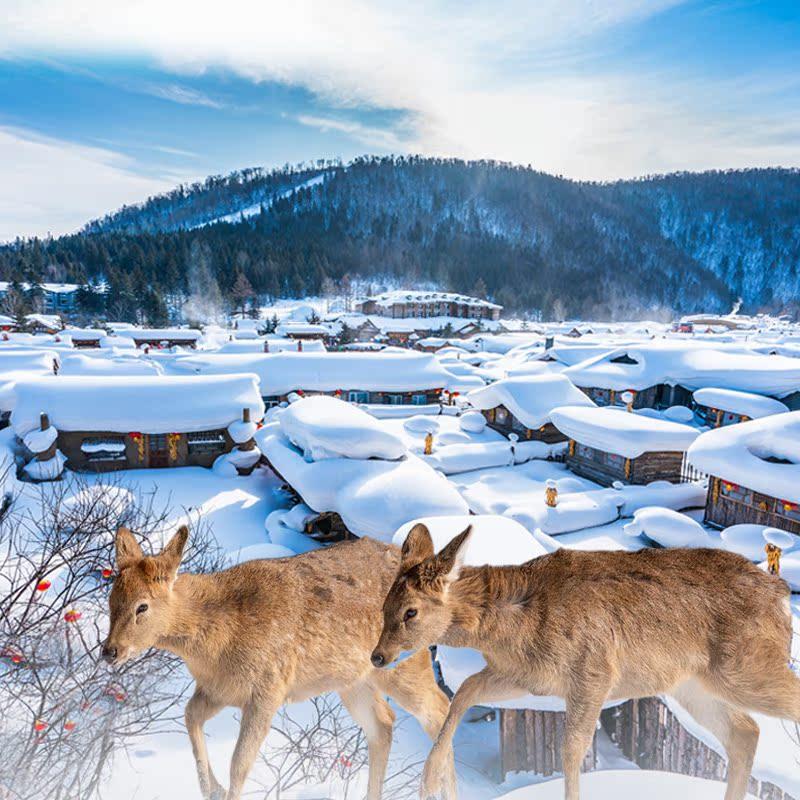黑龙江哈尔滨旅游酒店住宿/ 亚布力民宿/雪乡住宿 自由行游玩