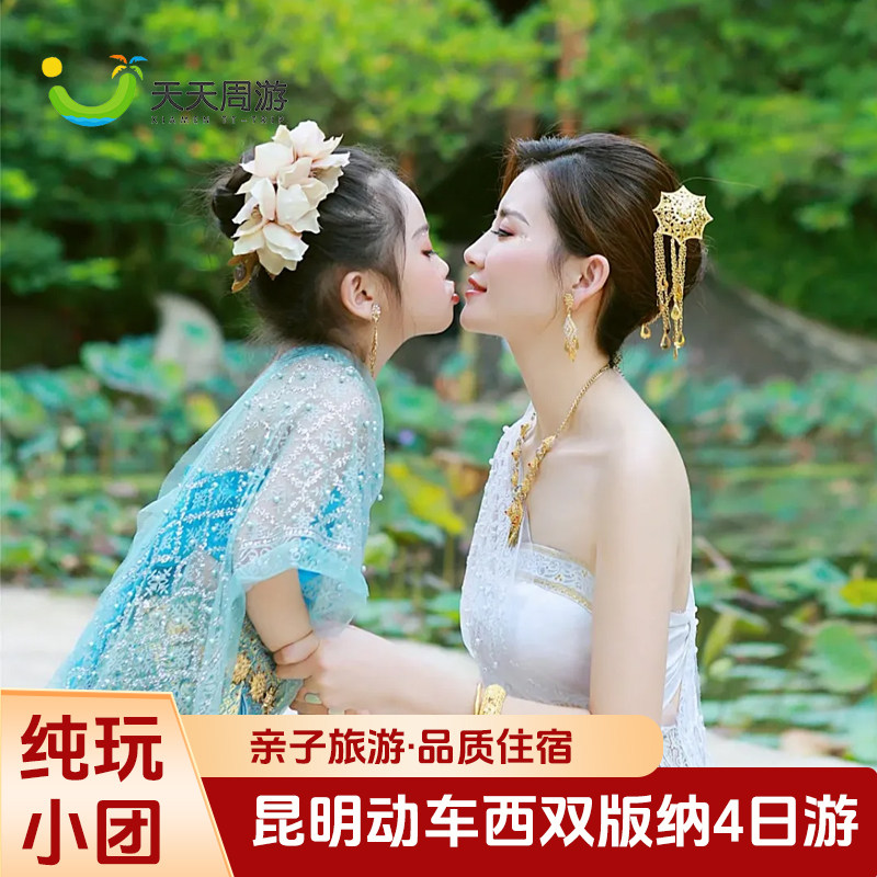 昆明西双版纳纯玩4日游精品小团昆明动车往返亲子游中科植物园 - 定制游预订