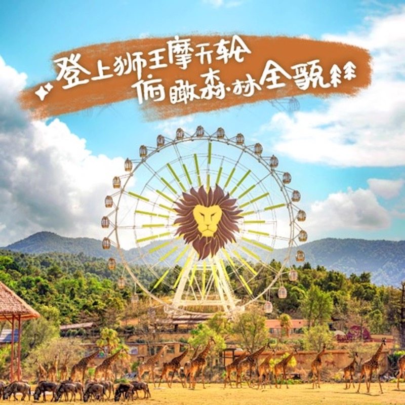 错峰特惠清远长隆森林王国1日门票亲子清远国际酒店套餐