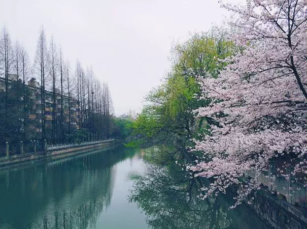 石灰坝遗址图片