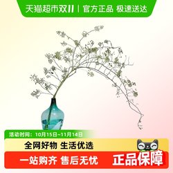 Aidaishan Return Fresh Cut Branches Indoor Living Room High Quality