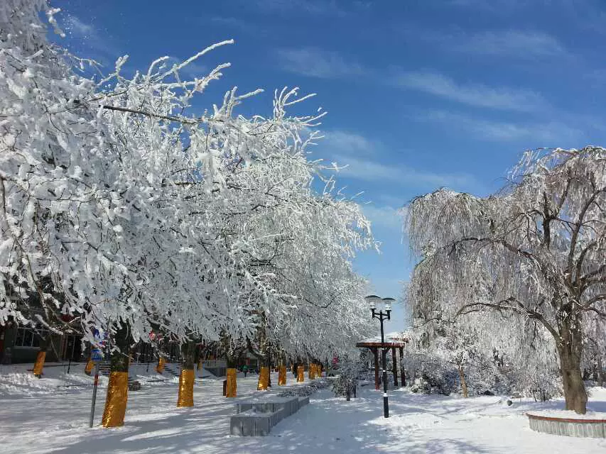 牯岭图片