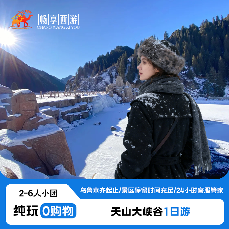 新疆旅游乌鲁木齐出发天山大峡谷纯玩无购物休闲避暑周边一日游 - 定制游预订