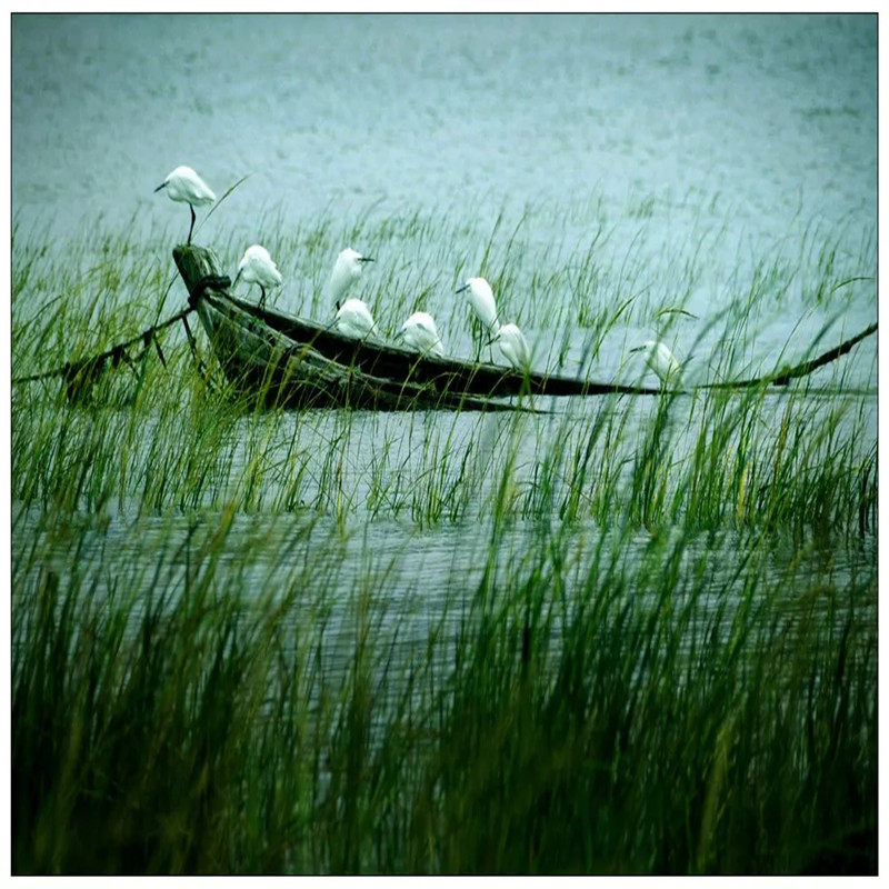 福建霞浦滩涂旅游摄影胜地 4日3晚 跟团游 【2人成团 天天发团】 - 定制游预订