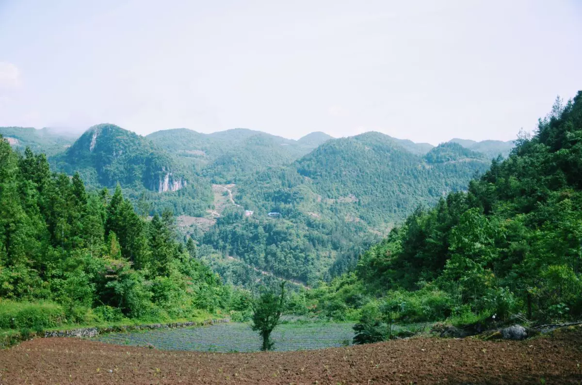 清江古河床图片