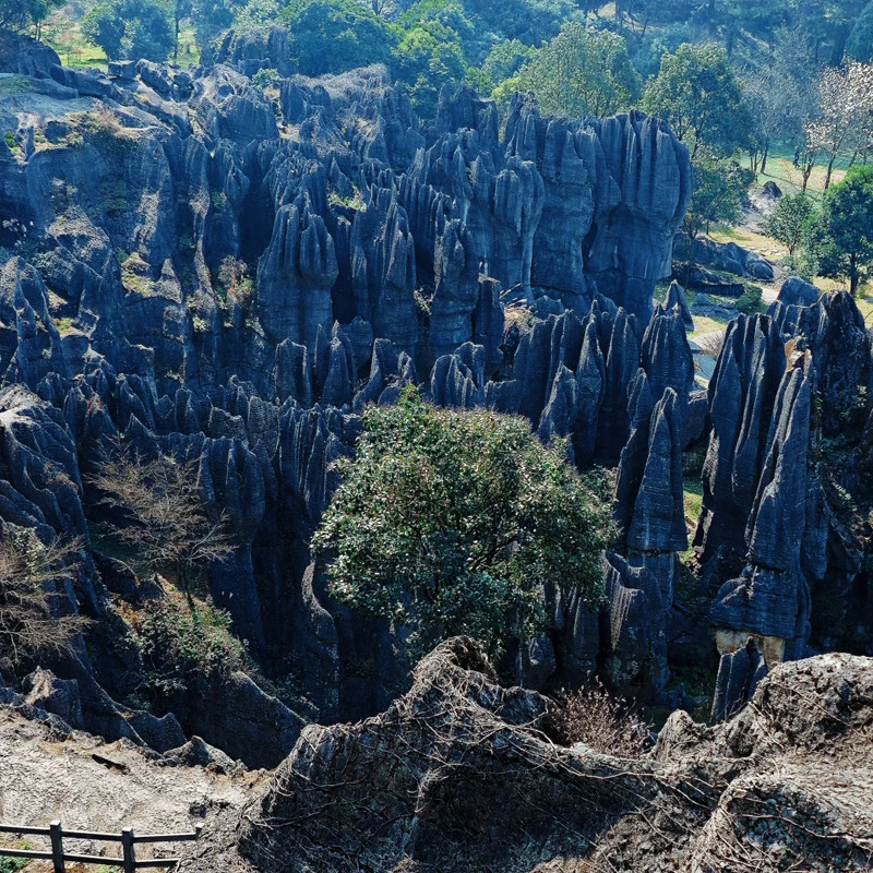 【双人套餐】万盛白玉兰酒店2天1晚+黑山谷+万盛石林+双早