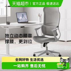 Lege Y11 Ergonomic Office Chair, Comfortable for Long Sitting, Waist-Protecting Computer Chair, Gaming Chair, Desk Chair, Backrest Chair