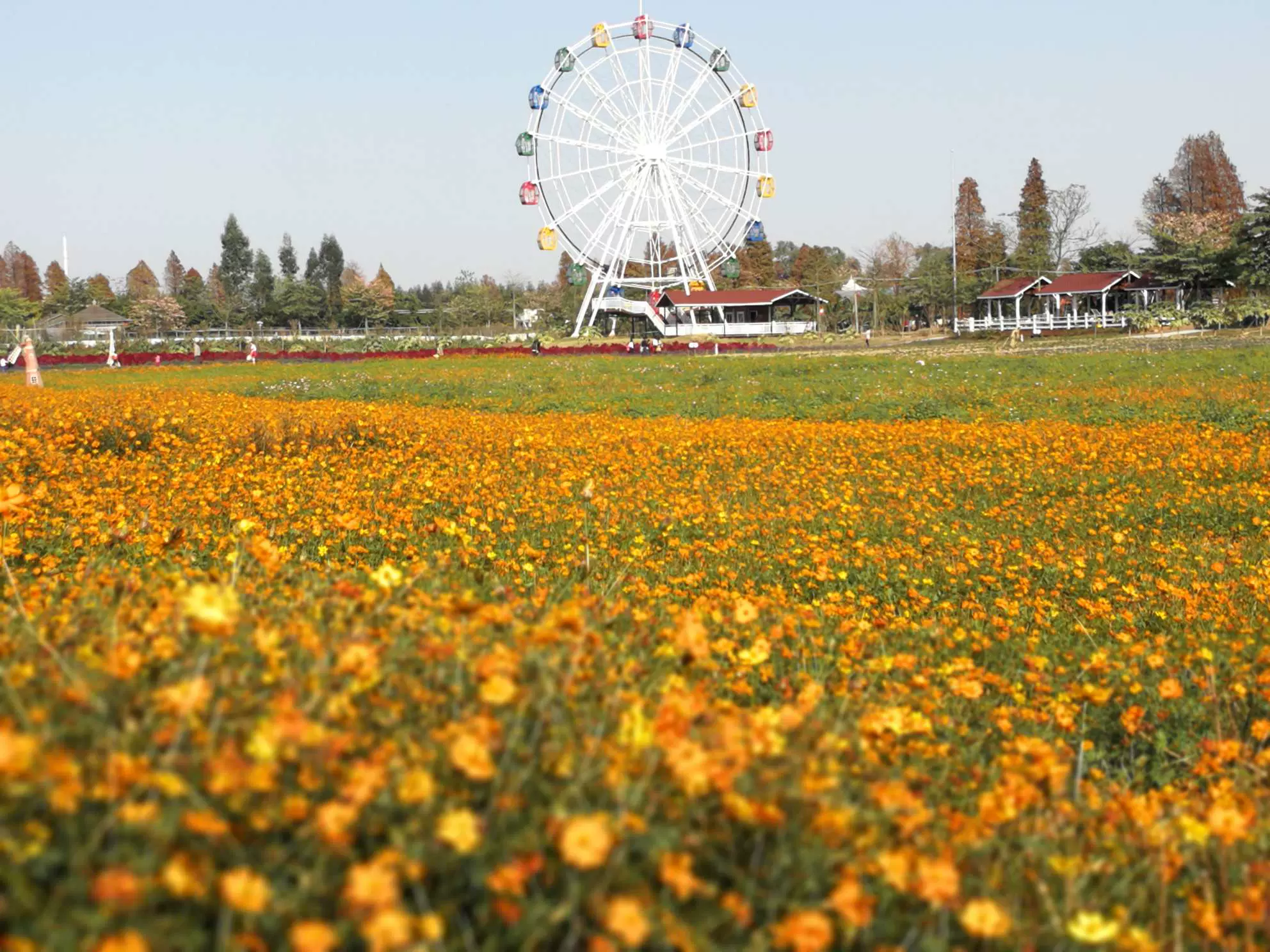 梦里水乡百花园