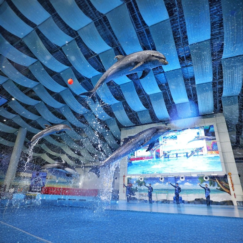 【寒假早鸟】合肥-合肥银泰君亭酒店|豪华双床房+合肥海洋世界+姥山岛3天2晚自由行