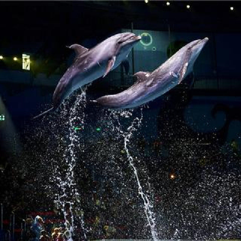 【周末不加价】昆明滇池宋品酒店1晚+非遗活动+旅拍+下午茶1份或双人中餐厅粤式餐点