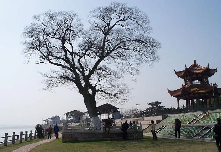 白石台广场图片