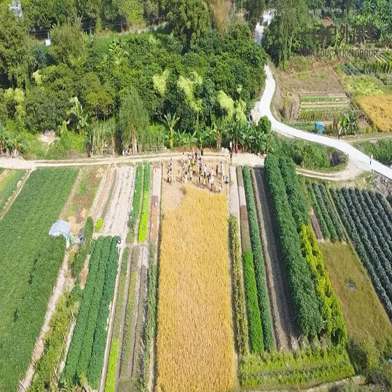 一马营地图片