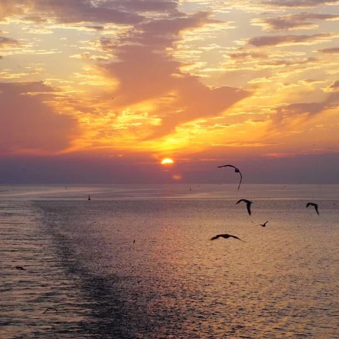 长春富力万达文华酒店住宿+长春电影制片厂成人门票