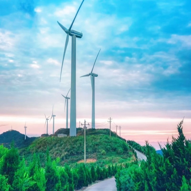 【私家团】舟山衢山岛3天2晚团建旅游纯玩一单一团不与陌生人拼团 - 定制游预订