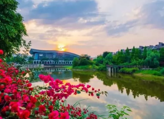 重庆科技学院(虎溪校区)图片