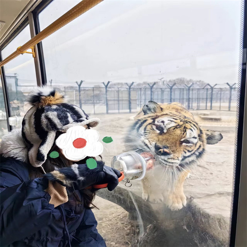 哈尔滨景辰酒店(冰雪大世界店)住1晚+双早+2人黑龙江东北虎园林门票(含惊险观光车)