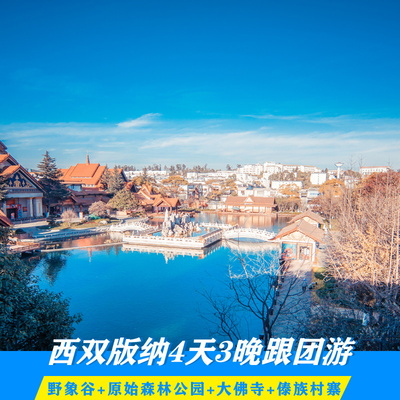 西双版纳4天3晚独立跟团游野象谷大佛寺原始森林公园告庄星光夜市 - 定制游预订