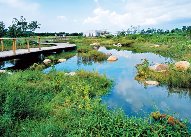 重庆梁平双桂湖国家湿地公园图片