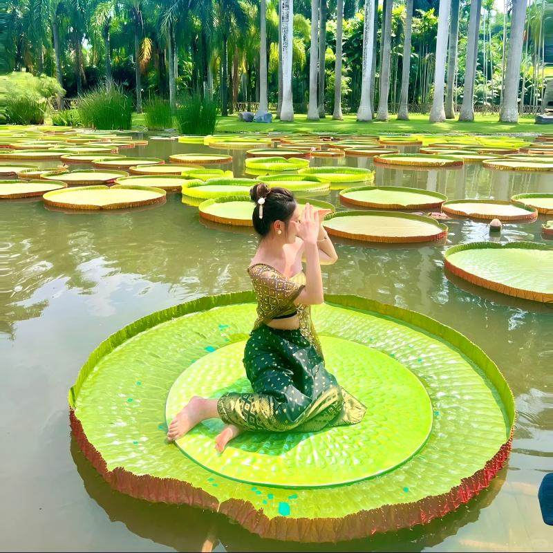 纯玩8人精品小团+豪华住宿西双版纳曼听公园野象谷5天4晚跟团游 - 定制游预订