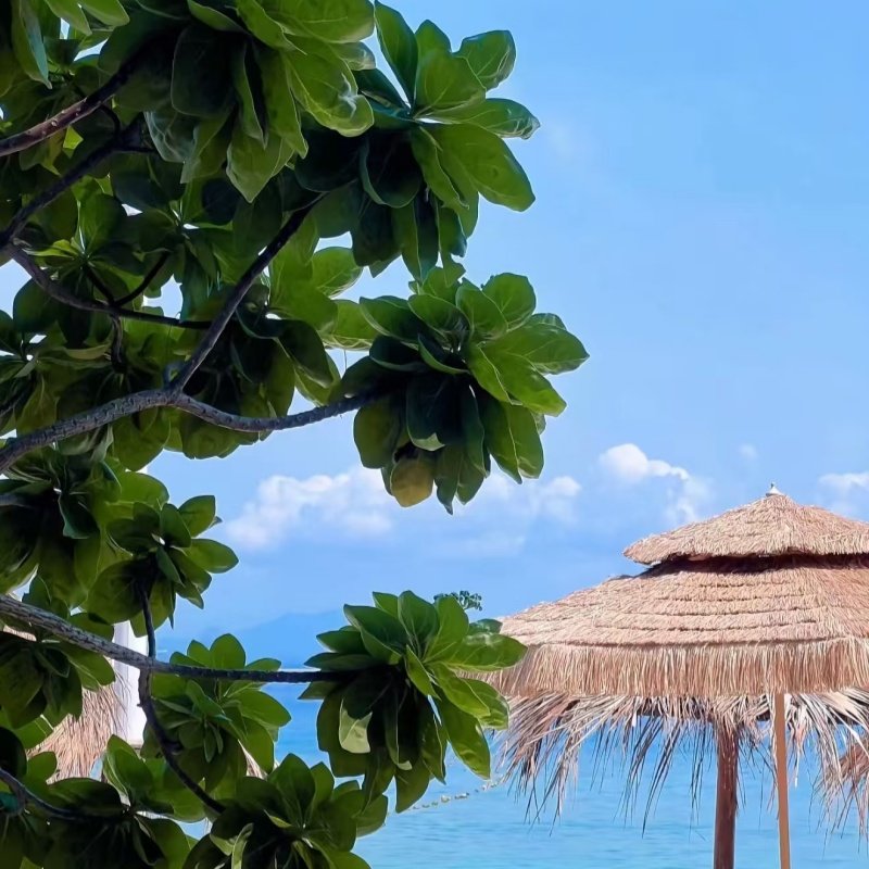 三亚5天4晚跟团游石梅湾神州半岛蜈支洲呀诺达大小洞天天涯海角 - 定制游预订