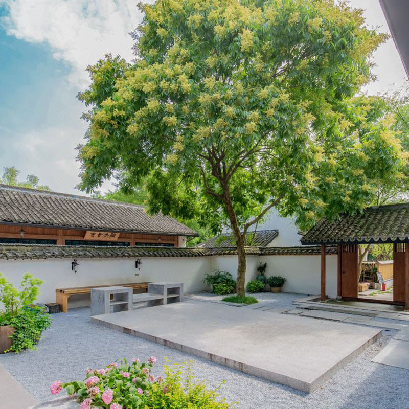 杭州西溪十里芳菲度假村落+早餐+西溪湿地国家公园东区门票+水上巴士 - 定制游预订