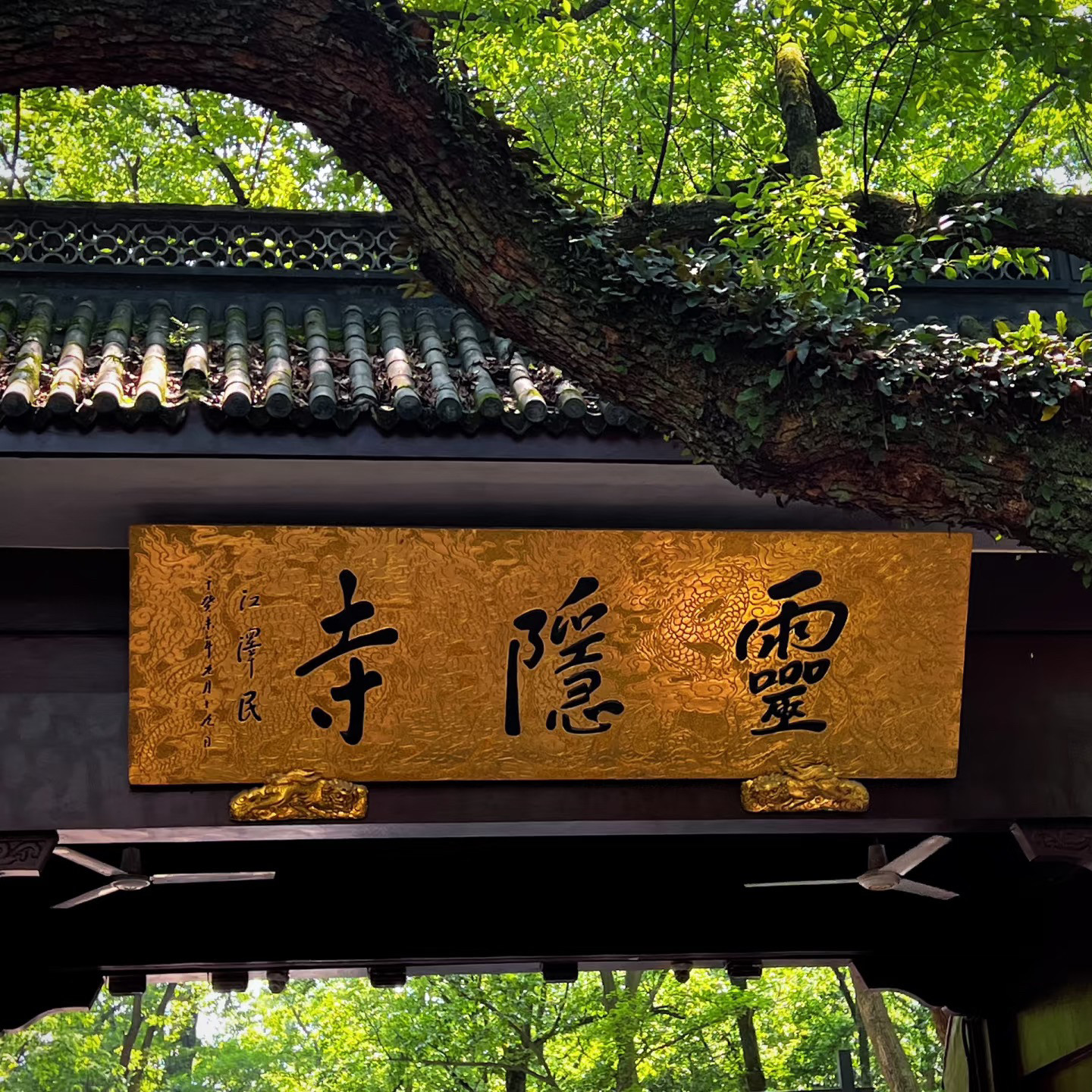 【私家团】上海+苏州+乌镇+杭州4日·独立不拼团 - 定制游预订